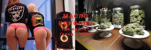 гидра Карпинск