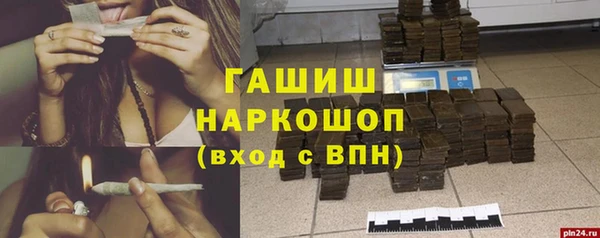 гидра Карпинск