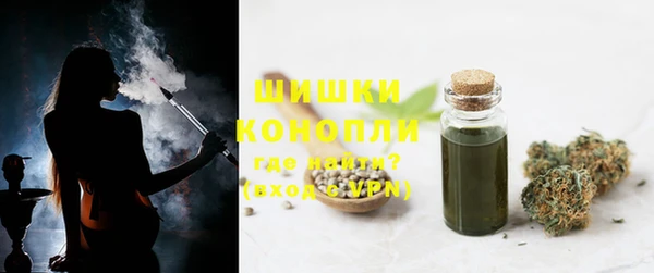 гидра Карпинск