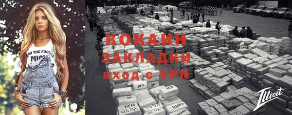 гидра Карпинск