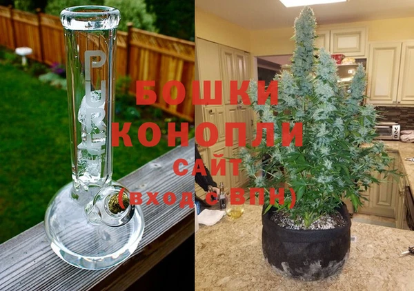 гидра Карпинск