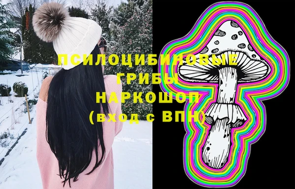 соль ск Касимов