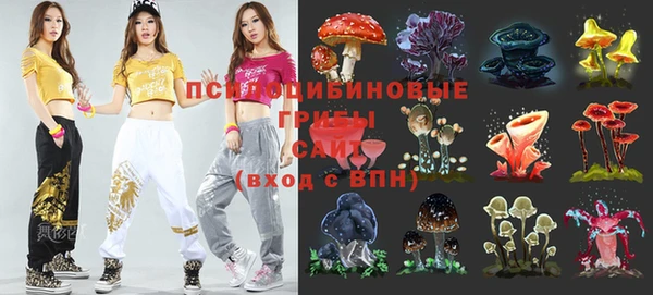 соль ск Касимов