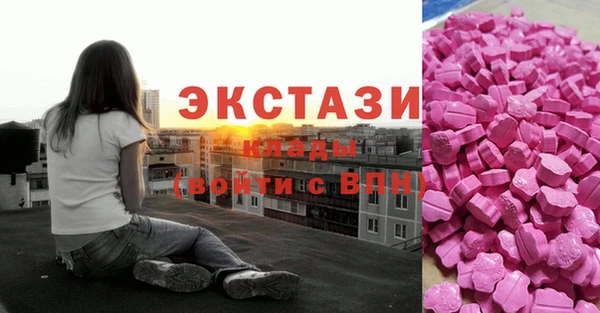 гидра Карпинск