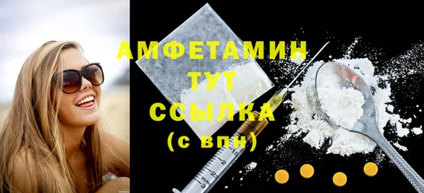 гидра Карпинск