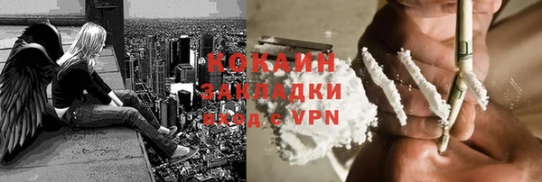 соль ск Касимов