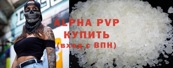 гидра Карпинск