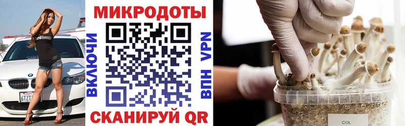 Галлюциногенные грибы мухоморы  Купить  Высоковск 