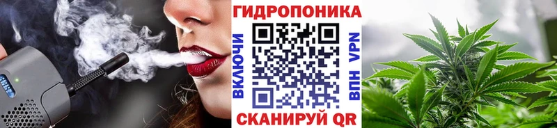 Купить где  Высоковск  Канабис конопля 
